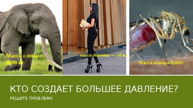 Масса слона — 4000 кг масса девочки — 50 кг. Масса комара 0,001г Кто создает большее давление? Решите проблему  