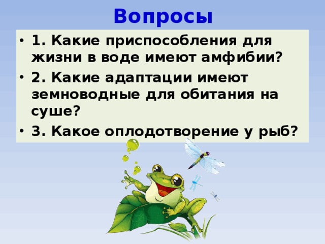 Вопросы 1. Какие приспособления для жизни в воде имеют амфибии? 2. Какие адаптации имеют земноводные для обитания на суше? 3. Какое оплодотворение у рыб? 