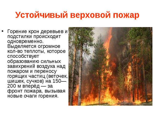 Устойчивый верховой пожар Горение крон деревьев и подстилки происходит одновременно. Выделяется огромное кол-во теплоты, которое способствует образованию сильных завихрений воздуха над пожаром и переносу горящих частиц (веточек, шишек, сучков) на 150—200 м вперёд — за фронт пожара, вызывая новые очаги горения.  