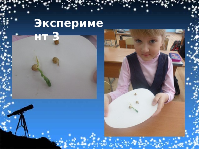 Эксперимент 3 