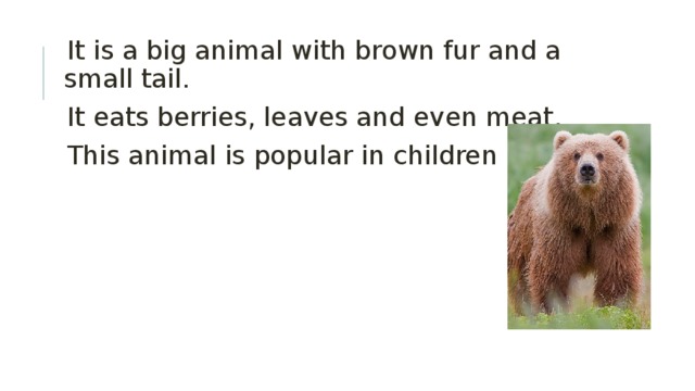 It is a big animal with brown fur and a small tail. It eats berries, leaves and even meat. This animal is popular in children stories. 