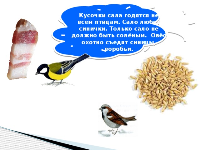 Кусочки сала годятся не всем птицам. Сало любят синички. Только сало не должно быть солёным. Овёс охотно съедят синицы, воробьи.