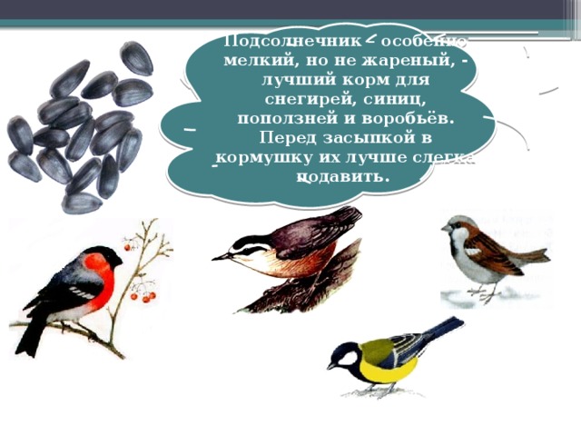 Подсолнечник – особенно мелкий, но не жареный, - лучший корм для снегирей, синиц, поползней и воробьёв. Перед засыпкой в кормушку их лучше слегка подавить.