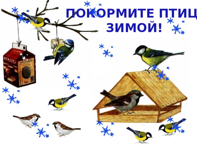 ПОКОРМИТЕ ПТИЦ  ЗИМОЙ!