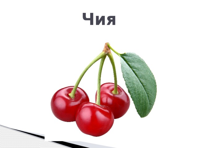 Чия 