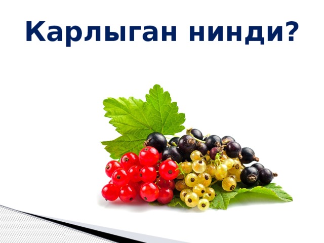 Карлыган нинди? 