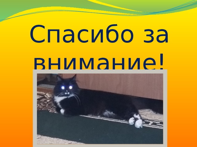 Спасибо за внимание! 