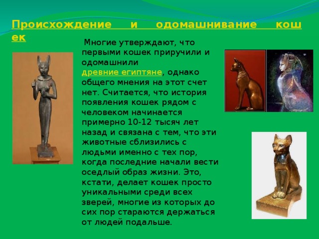  Происхождение     и     одомашнивание     кошек   Многие утверждают, что первыми кошек приручили и одомашнили  древние египтяне , однако общего мнения на этот счет нет. Считается, что история появления кошек рядом с человеком начинается примерно 10-12 тысяч лет назад и связана с тем, что эти животные сблизились с людьми именно с тех пор, когда последние начали вести оседлый образ жизни. Это, кстати, делает кошек просто уникальными среди всех зверей, многие из которых до сих пор стараются держаться от людей подальше. 