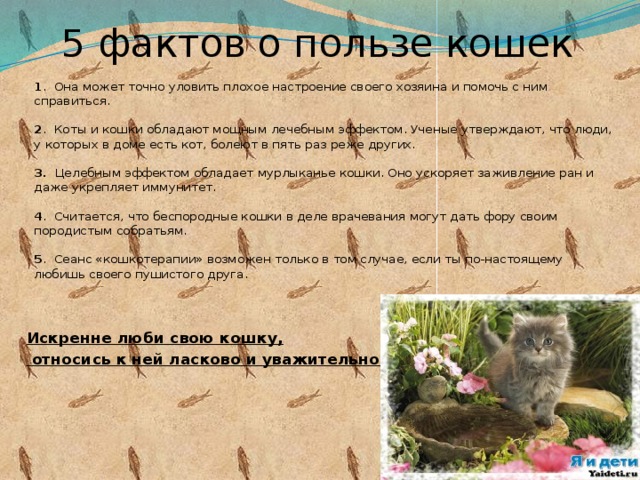 5 фактов о пользе кошек  1 . Она может точно уловить плохое настроение своего хозяина и помочь с ним справиться.    2 . Коты и кошки обладают мощным лечебным эффектом. Ученые утверждают, что люди, у которых в доме есть кот, болеют в пять раз реже других.   3. Целебным эффектом обладает мурлыканье кошки. Оно ускоряет заживление ран и даже укрепляет иммунитет.   4 . Считается, что беспородные кошки в деле врачевания могут дать фору своим породистым собратьям.   5 . Сеанс «кошкотерапии» возможен только в том случае, если ты по-настоящему любишь своего пушистого друга.     Искренне люби свою кошку,  относись к ней ласково и уважительно!        