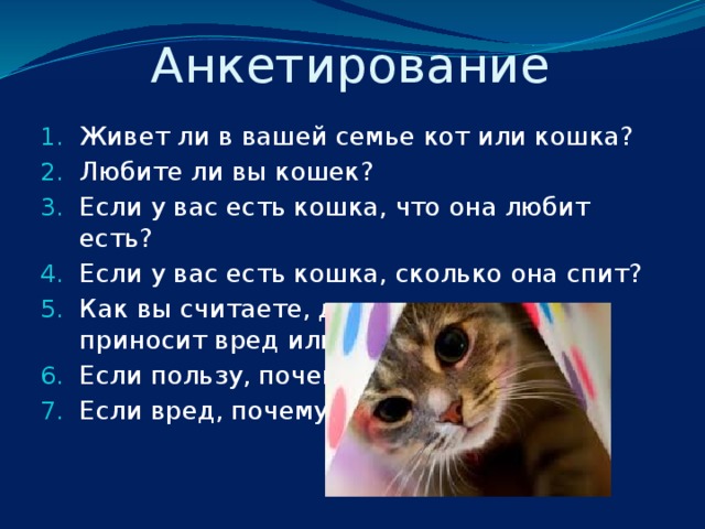 Анкетирование Живет ли в вашей семье кот или кошка? Любите ли вы кошек? Если у вас есть кошка, что она любит есть? Если у вас есть кошка, сколько она спит? Как вы считаете, домашняя кошка приносит вред или пользу? Если пользу, почему? Если вред, почему? 