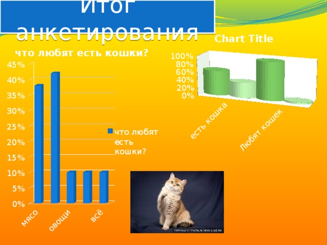 Итог анкетирования 