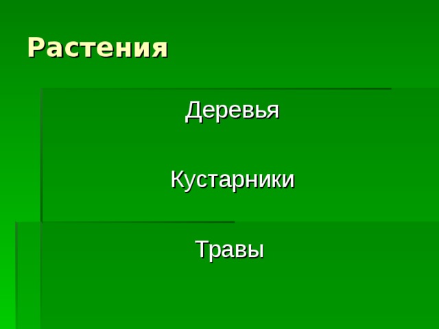 Растения Деревья Кустарники Травы 