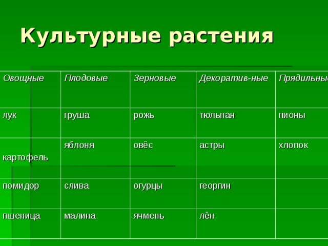 Культурные растения Овощные Плодовые  лук Зерновые  груша картофель Декоратив-ные  яблоня рожь помидор пшеница слива овёс Прядильные тюльпан астры малина пионы огурцы хлопок георгин ячмень лён  