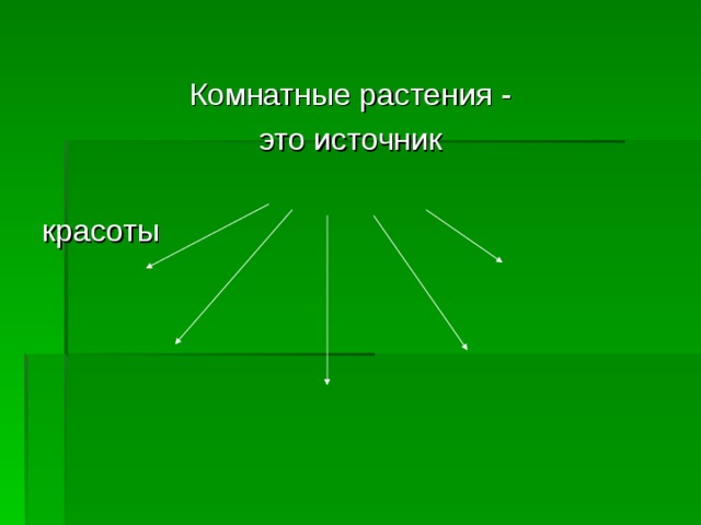 Комнатные растения - это источник красоты 