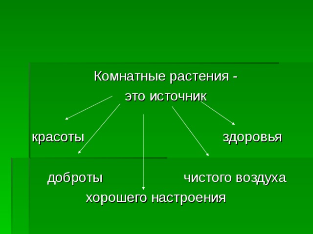 Комнатные растения - это источник красоты здоровья  доброты чистого воздуха  хорошего настроения 