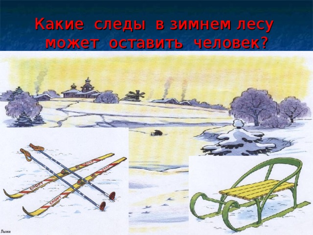 Какие следы в зимнем лесу может оставить человек? 