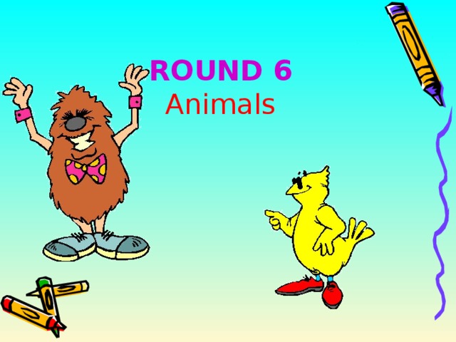 ROUND 6  Animals 