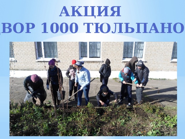 Акция «Двор 1000 тюльпанов» 