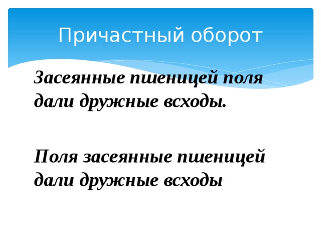Причастный оборот Засеянные пшеницей поля дали дружные всходы.  Поля засеянные пшеницей дали дружные всходы 