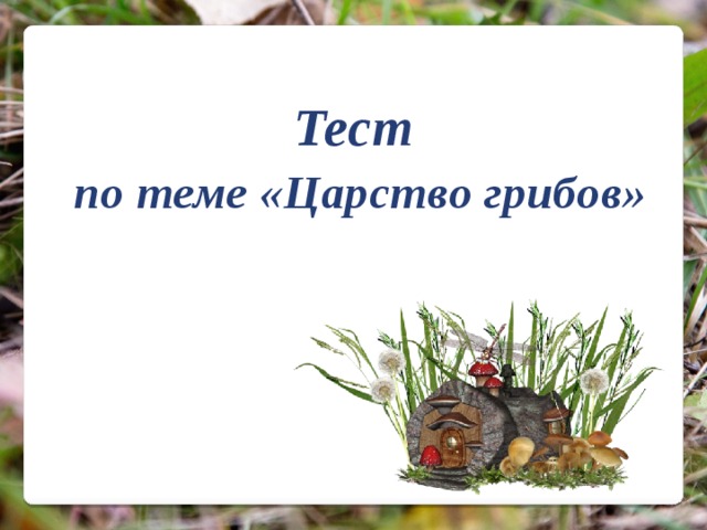 Тест  по теме «Царство грибов» 