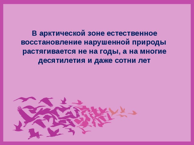 В арктической зоне естественное восстановление нарушенной природы растягивается не на годы, а на многие десятилетия и даже сотни лет 