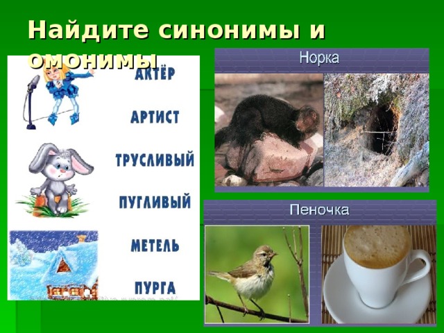 Найдите синонимы и омонимы 