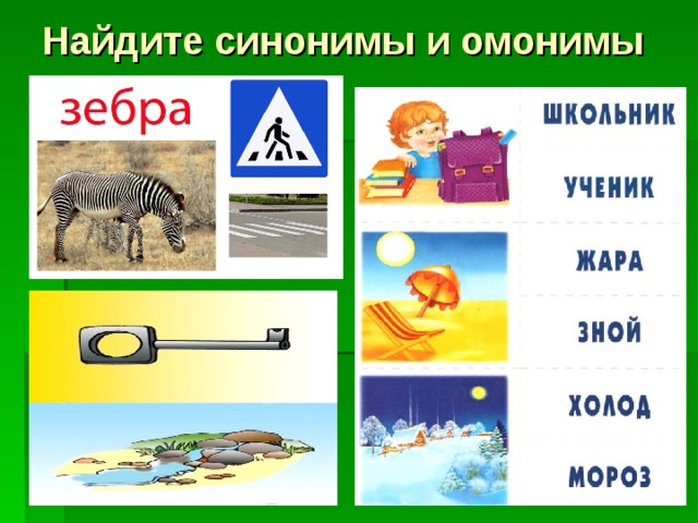 Найдите синонимы и омонимы 