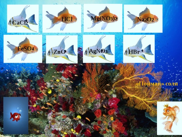Mg(NO 3 ) 2 HCl Na 2 O 2 CaCl 2 FeSO 4 AgNO 3 ZnO HBr «Поймай» соли 