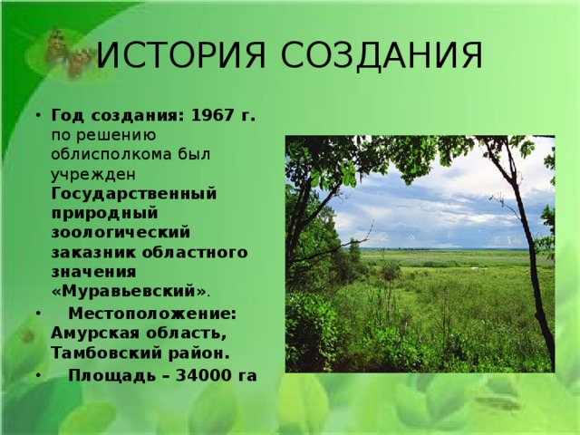 ИСТОРИЯ СОЗДАНИЯ Год создания: 1967 г. по решению облисполкома был учрежден Государственный природный зоологический заказник областного значения «Муравьевский» .     Местоположение: Амурская область, Тамбовский район.     Площадь – 34000 га 