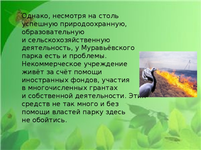 Однако, несмотря на столь успешную природоохранную, образовательную и сельскохозяйственную деятельность, у Муравьёвского парка есть и проблемы. Некоммерческое учреждение живёт за счёт помощи иностранных фондов, участия в многочисленных грантах и собственной деятельности. Этих средств не так много и без помощи властей парку здесь не обойтись. 