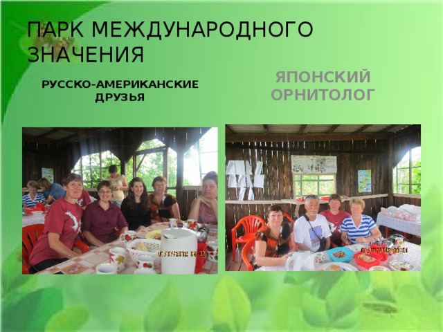 ПАРК МЕЖДУНАРОДНОГО ЗНАЧЕНИЯ РУССКО-АМЕРИКАНСКИЕ ДРУЗЬЯ ЯПОНСКИЙ ОРНИТОЛОГ 