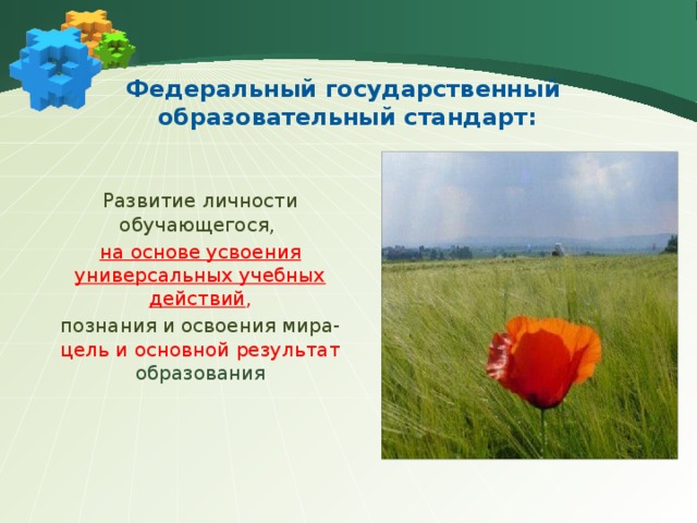 Федеральный государственный  образовательный стандарт: Развитие личности обучающегося, на основе усвоения универсальных учебных действий , познания и освоения мира- цель  и  основной  результат образования Основным понятием, которое описывает современное российское образование с точки зрения его миссии и целей, является понятие «развитие». Образование понимается как процесс целенаправленного развития, который приводит к определенному результату – становлению человека, обретению им культурно значимых качеств, способностей и возможностей. Эти способности в дальнейшем позволяют учащемуся стать субъектом культуры, человеческих отношений, носителем исключительно человеческих возможностей – рефлексии, самосознания, способности к диалогу, проектировочной деятельности и т.д.  