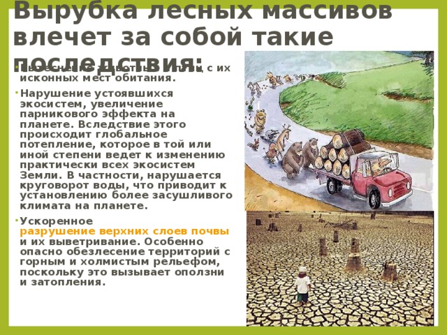 Вырубка лесных массивов влечет за собой такие последствия: Вытеснение животных и птиц с их исконных мест обитания. Нарушение устоявшихся экосистем, увеличение парникового эффекта на планете. Вследствие этого происходит глобальное потепление, которое в той или иной степени ведет к изменению практически всех экосистем Земли. В частности, нарушается круговорот воды, что приводит к установлению более засушливого климата на планете. Ускоренное разрушение верхних слоев почвы и их выветривание. Особенно опасно обезлесение территорий с горным и холмистым рельефом, поскольку это вызывает оползни и затопления.  