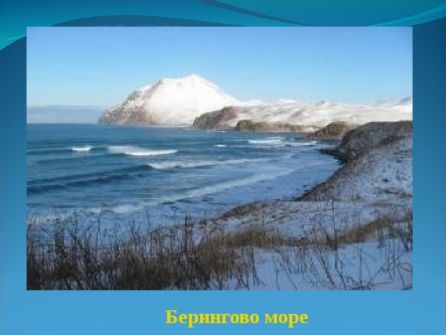 Берингово море 