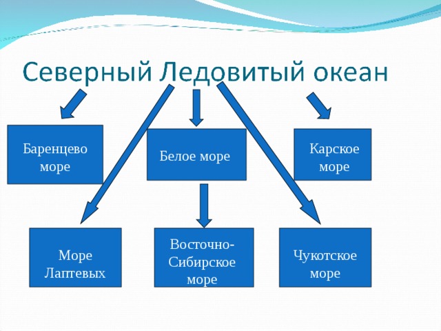 Баренцево море Карское море Белое море Восточно-Сибирское море Чукотское море Море Лаптевых 