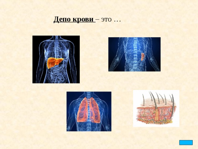 Депо крови – это …  