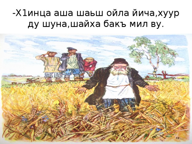 -Х1инца аша шаьш ойла йича,хуур ду шуна,шайха бакъ мил ву. 