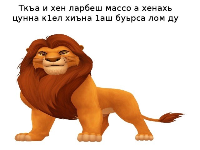 Ткъа и хен ларбеш массо а хенахь цунна к1ел хиъна 1аш буьрса лом ду 