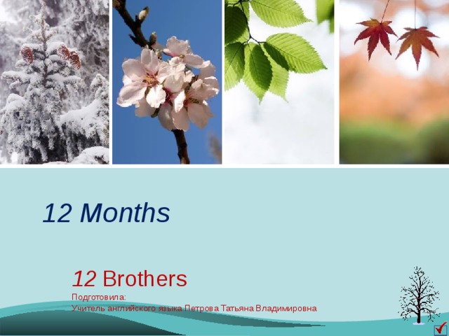 12  Months 12  Brothers Подготовила: Учитель английского языка Петрова Татьяна Владимировна 