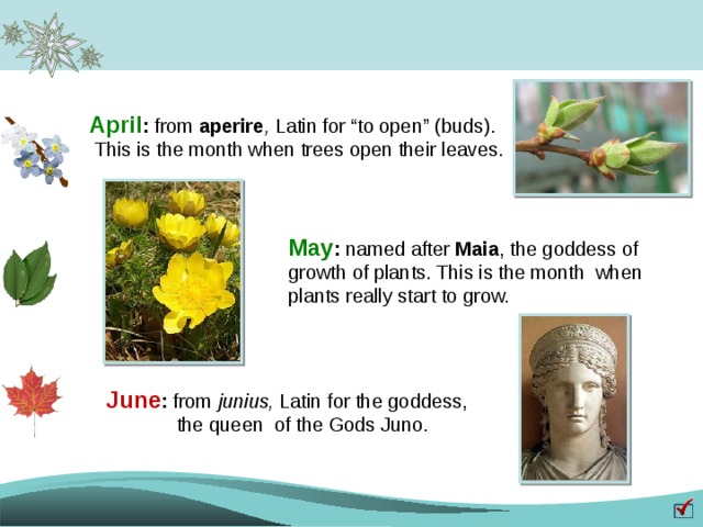 April : from aperire , Latin for “to open” (buds).  This is the month when trees open their leaves. May : named after Maia , the goddess of growth of plants. This is the month when plants really start to grow. June : from junius, Latin for the goddess,  the queen of the Gods Juno. 