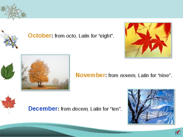 October : from octo, Latin for “eight”. November : from novem, Latin for “nine”. December : from decem, Latin for “ten”. 