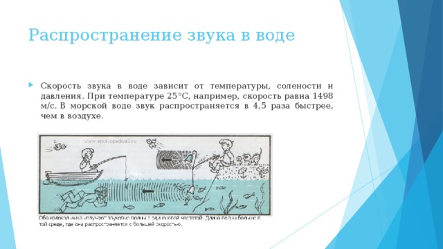 Распространение звука в воде Скорость звука в воде зависит от температуры, со­лености и давления. При температуре 25°С, например, скорость равна 1498 м/с. В морской воде звук распростра­няется в 4,5 раза быстрее, чем в воздухе. 