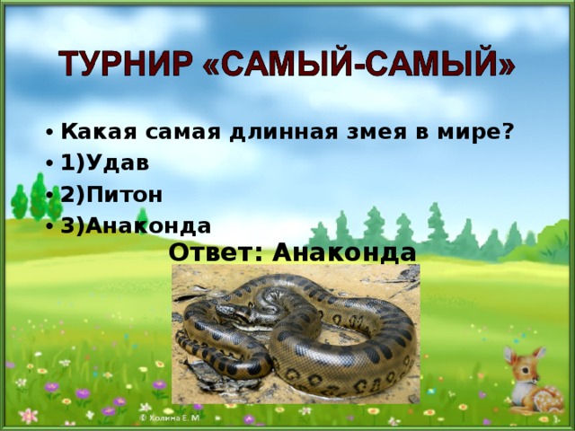 Какая самая длинная змея в мире? 1)Удав 2)Питон 3)Анаконда  Ответ: Анаконда 