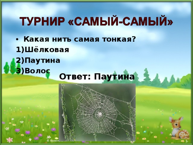  Какая нить самая тонкая? 1)Шёлковая 2)Паутина 3)Волос  Ответ: Паутина 