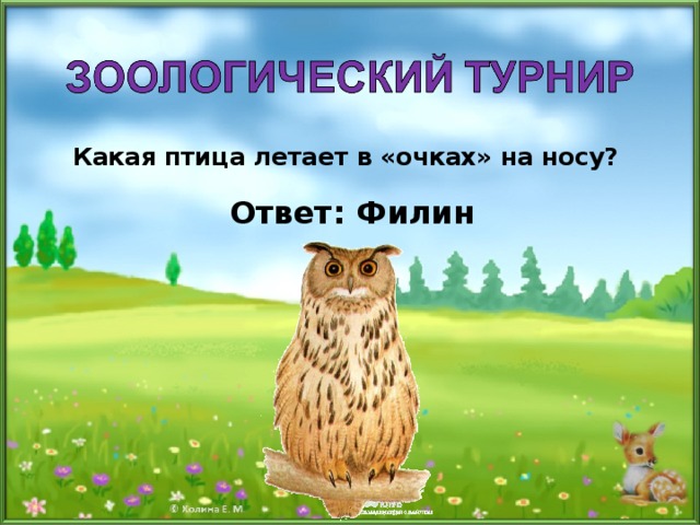 Какая птица летает в «очках» на носу?  Ответ: Филин 