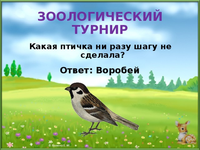 ЗООЛОГИЧЕСКИЙ ТУРНИР Какая птичка ни разу шагу не сделала? Ответ: Воробей 