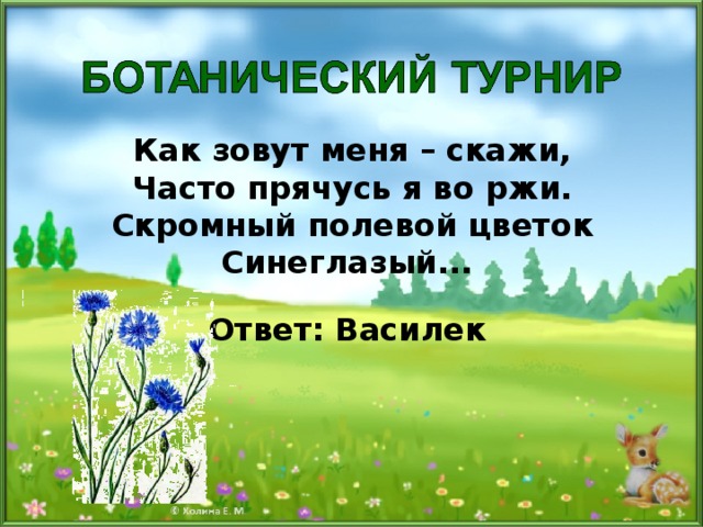 Как зовут меня – скажи, Часто прячусь я во ржи. Скромный полевой цветок Синеглазый... Ответ: Василек 