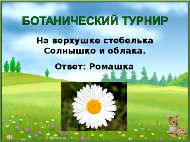 На верхушке стебелька Солнышко и облака. Ответ: Ромашка 