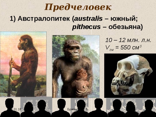Предчеловек 1) Австралопитек ( australis – южный; pithecus – обезьяна) 10 – 12 млн. л.н. V гм = 550 см 3 10.01.18  Братякова С.Б. 