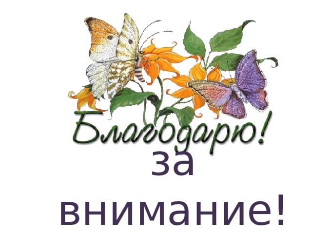 за внимание!